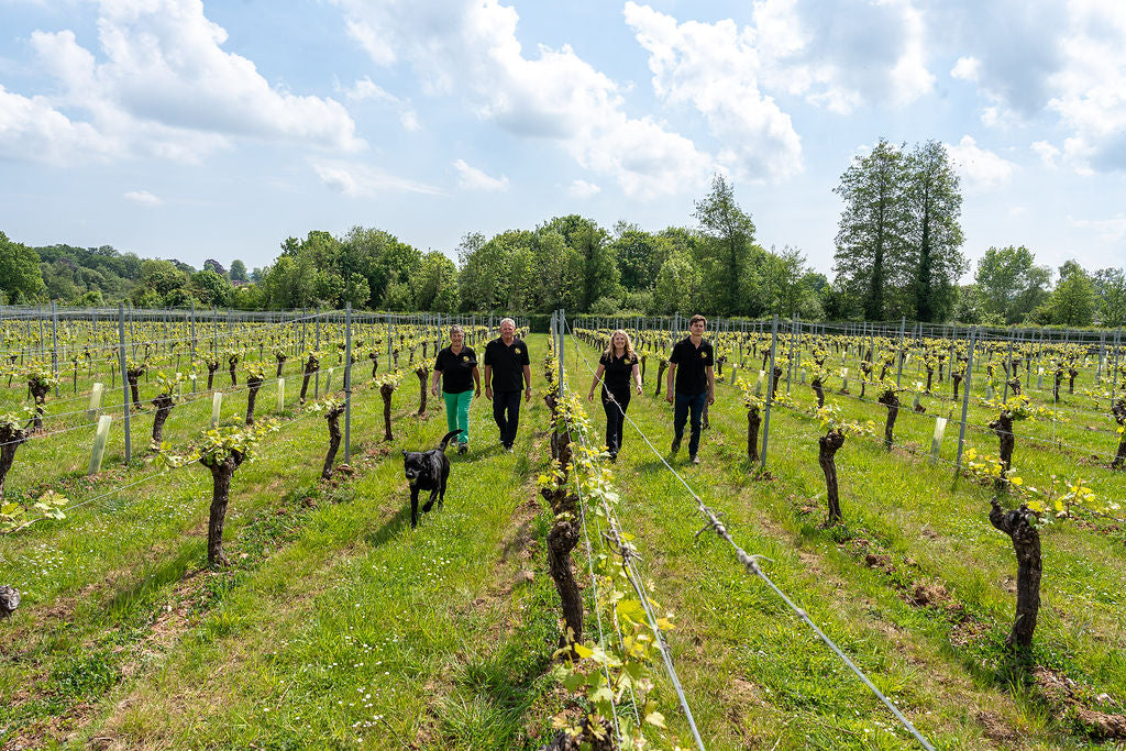Hello and Welcome to Longdown Vineyard